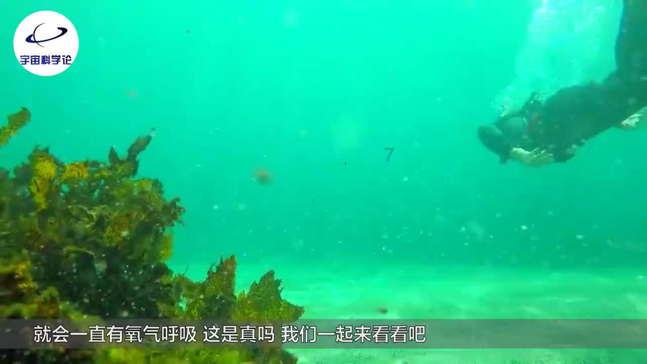 国家级榜单!临沂一地入选
